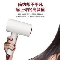 艾优（Apiyoo）负离子吹风机家用恒温负离子大功率发廊级干护发配扩散风嘴吹风筒护发