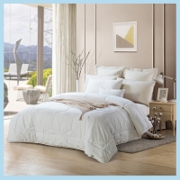 堂皇家纺 冬季保暖加厚通用澳舒羊毛被褥欧抗菌 被【220x240cm】