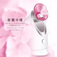 金稻蒸脸器纳米喷雾补水仪热喷蒸面器家用面部美容仪蒸脸仪喷雾机