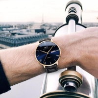 I&W 男士机械表全自动罗马蓝宝石玻璃防水腕表 玫瑰金深蓝面 时尚简约商务罗马蓝宝石玻璃防水 爱沃驰IW8861