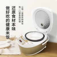 创维skyworth 家用厨房电饭煲大容量5L 电饭煲F62