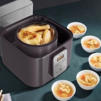 美的 (Midea)电炖锅隔水炖煲汤锅电炖盅炖汤锅养生锅2.2L容量  5胆TZS22F