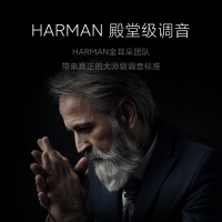 米家 Xiaomi Sound蓝牙耳机智能通话蓝牙空间HiFi音质