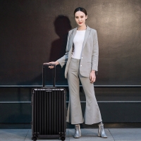 爱登堡（Edenbo）经典款镜面镁铝20寸拉杆箱 20寸黑色 F288 时尚高档铝框旅行行李箱