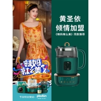 浦利顿(PLODON)恒温调奶器1.2L 多功能婴儿恒温水壶冲泡奶粉机热奶暖奶器 复古绿调奶器+炖盅