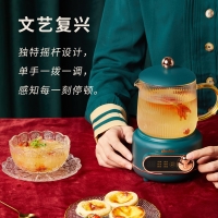 浦利顿(PLODON)复古鲜炖杯 养生壶电炖杯小型便携式加热电热杯烧热水煮茶办公室鲜炖杯 复古绿 360W