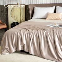 CaldiceKris（中国CK）高端定制手工蚕丝被 200*230cm 2斤
