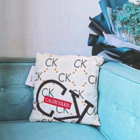 CaldiceKris（中国CK）高弹力舒适枕头 亲肤抱枕被CK-DH055