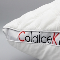 CaldiceKris（中国CK）CK-JD007