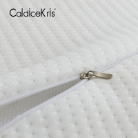 CaldiceKris（中国CK） 天然乳胶枕 CK-JF11070 白色 40X60cm