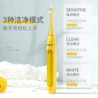 罗曼（ROAMAN）电动牙刷成人款声波震动1年只充1次电全自动牙刷 X20