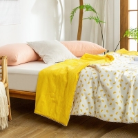路易卡罗 醒春大豆被 夏被棉被冬被单人空调被夏凉被双人春秋被200x230cm