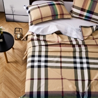 路易卡罗 老粗布凉席 欧典布艺席三件套粗布凉席 夏凉软席子空调席双人可折叠200x230cm