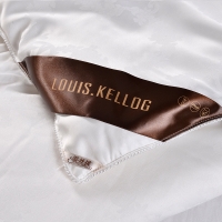 路易卡罗 蚕丝系列梵梦被 加厚冬被保暖被芯单双人四季棉被200x230cm