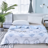 路易卡罗 凯洛 薄被夏被棉被冬被单人空调被夏凉被双人春秋被180x210cm