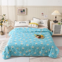 路易卡罗 珈蓝菠萝被 夏被棉被冬被单人空调被夏凉被双人春秋被180x210cm