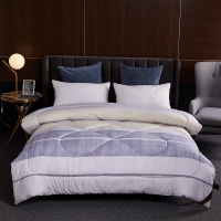 路易卡罗 被子系列时尚被 加厚冬被保暖被芯单双人四季棉被200x230cm