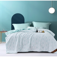 路易卡罗 千语薄荷被 夏被棉被冬被单人空调被夏凉被双人春秋被200x230cm