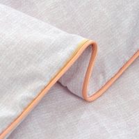 路易卡罗 艾草养生被 夏被棉被冬被单人空调被夏凉被双人春秋被200x230cm