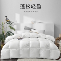 路易卡罗 纯棉羽丝绒被 加厚冬被保暖被芯单双人四季棉被200x233cm