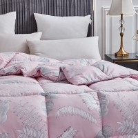 路易卡罗 叶柔羽丝绒被 加厚冬被保暖被芯单双人四季棉被200x230cm