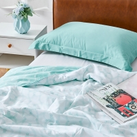 路易卡罗 千语薄荷被 夏被棉被冬被单人空调被夏凉被双人春秋被150x200cm