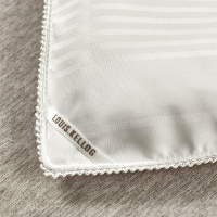 路易卡罗 蚕丝系列景逸被 加厚冬被保暖被芯单双人四季棉被200x230cm