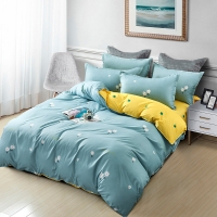 路易卡罗 品味四件套 200x230cm简约现代风四件套床上用品【雏菊春天】