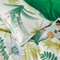 路易卡罗 雅诗四件套 200x230cm简约现代风四件套床上用品【花叶相随】