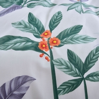 路易卡罗 璇之礼四件套 200x230cm简约现代风四件套床上用品【晨间馨香-绿】