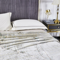 路易卡罗 韵致风情艺术毯200*230cm 四季空调通用盖毯宿舍办公室空调毯