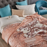 路易卡罗 典韵亲肤云柔毯200*230cm 四季空调通用盖毯宿舍办公室空调毯