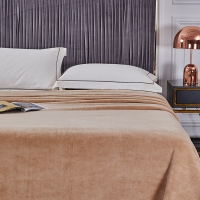 路易卡罗 玉兔绒超柔毯200*230cm 四季空调通用盖毯宿舍办公室空调毯