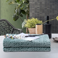 路易卡罗 毛毯盖毯轻便保暖办公家用绒毯午睡空调毯套装 叶绿素抗菌纤维毯180 x 200 cm