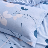 路易卡罗 尚佳枕套床上枕套 1对装 48*74cm*2