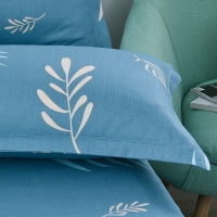 路易卡罗 纯棉枕套床上枕套 1对装 48*74cm*2