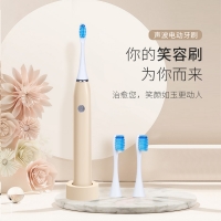 K-SKIN 金稻电动牙刷成人家用情侣男女充电式全自动超声波网红 智能懒人 KD336