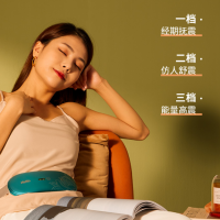 浦利顿(PLODON)磁极暖宫带 大姨妈肚子疼神器热敷按摩发热带礼盒