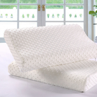 路易卡罗 颈椎枕头枕芯 成人透气睡眠枕30*50cm