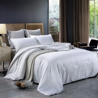 路易卡罗 蚕丝系列梵克被 加厚冬被保暖被芯单双人四季棉被200x230cm