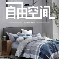 天琴自有空间套件 床上用品四件套被套：200*230cm床单：230*250cm