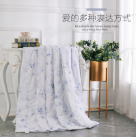 堂皇家纺 悠雅夏被天丝桑蚕丝夏被夏季单双人空调被薄被