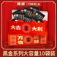 靖脯黑金系列20包脆肉脯黑金年货礼盒*2