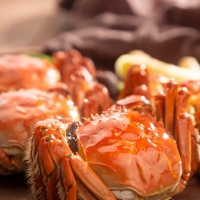 【活蟹】天匠食鲜工坊大闸蟹六六大顺大闸蟹礼盒 全公蟹4.0两_8只