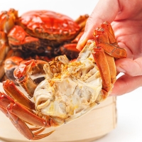 【活蟹】天匠食鲜工坊大闸蟹三羊开泰大闸蟹礼盒 全母蟹2.5两，6只